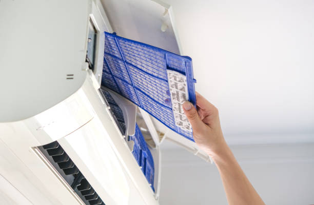 Best Emergency Air Duct Cleaning  in Bylas, AZ