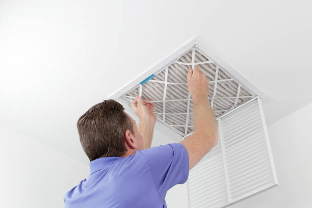 Best Residential Air Duct Cleaning  in Bylas, AZ